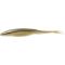 Arkansas shiner