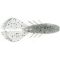 Shad Flash