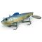 Blue Shad