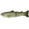 Flash Carp