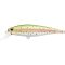 Laser Rainbow Trout