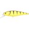 Tiger Perch