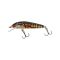 Holo Stickleback