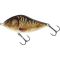 Supernatural Mirror Carp