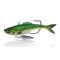 Bass