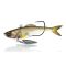 Herring