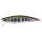 Yamame Red Belly