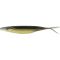 Golden Shiner