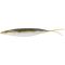 Lake Biwa Smelt