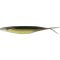 Golden Shiner