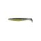Golden Shiner