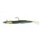 Sand Eel