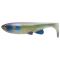 Whitefish