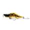 Shiny Trout