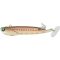 Red Mullet