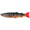 Tilapia Red Tail
