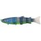 Chart Blue Gill UV