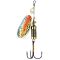 Rainbow Trout