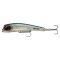 Ghost Anchovy
