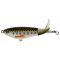 Baby Trout