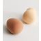 2 Pack Brown Beauty Sponges New Look