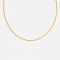 Astrid & Miyu Women's Snake Chain Necklace In Gold - Gold
