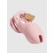 CB-X CB-3000 Chastity Cage Chastity Cage - Amorana