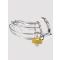 Rouge Chastity Cock Cage Chastity Cage - Amorana