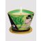 Shunga Massage Candle , Exotic Green Tea - Amorana