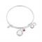Karma February Birthstone Bangle - Silver