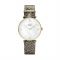 CLUSE Triomphe Pearl Dial + Python Gold Watch