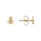 Vivienne Westwood Gold Crystal Brandita Earrings - Gold