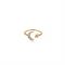 Seek + Find Shine Gold Interstellar Adjustable Ring - Gold