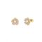 Ted Baker Peti Gold Pink and Pearl Flower Stud Earrings - Gold