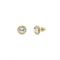 Ted Baker Soletia Gold Solitaire Sparkle Halo Stud Earrings - Gold