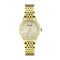 Accurist Women's Dress Diamond Champagne and Gold Watch - Gold