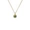 Ted Baker Gold Soltell Solitaire Sparkle Greem Halo Necklace - Gold