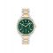 Coach Gold Mix Kitt Green Dial Bracelet Watch - Gold