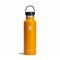Hydro Flask - Hydroflask Water Bottle Standard Flex Cap Starfish - 62cl